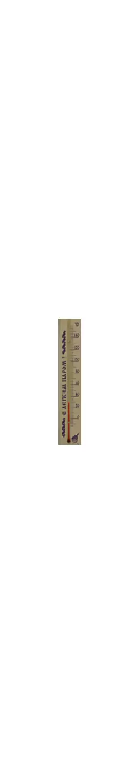 Термометр для сауны малый ТБС-41 С легким паром (в пакете)
